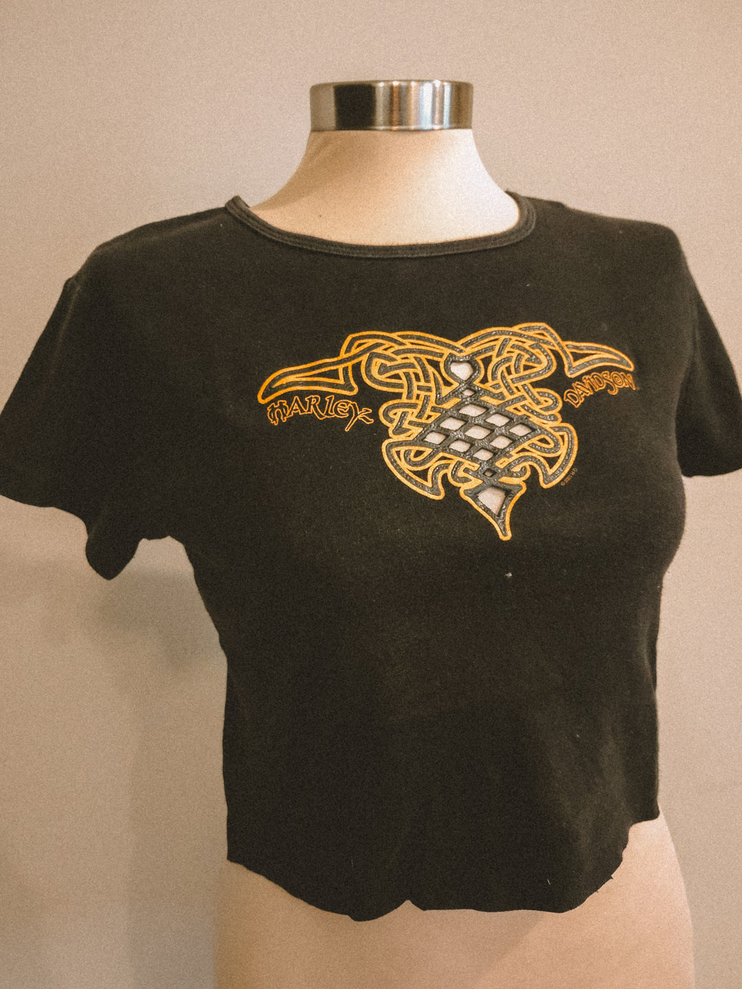 2001 YTK CROPPED HD HUGGED TEE The Kindred Bone