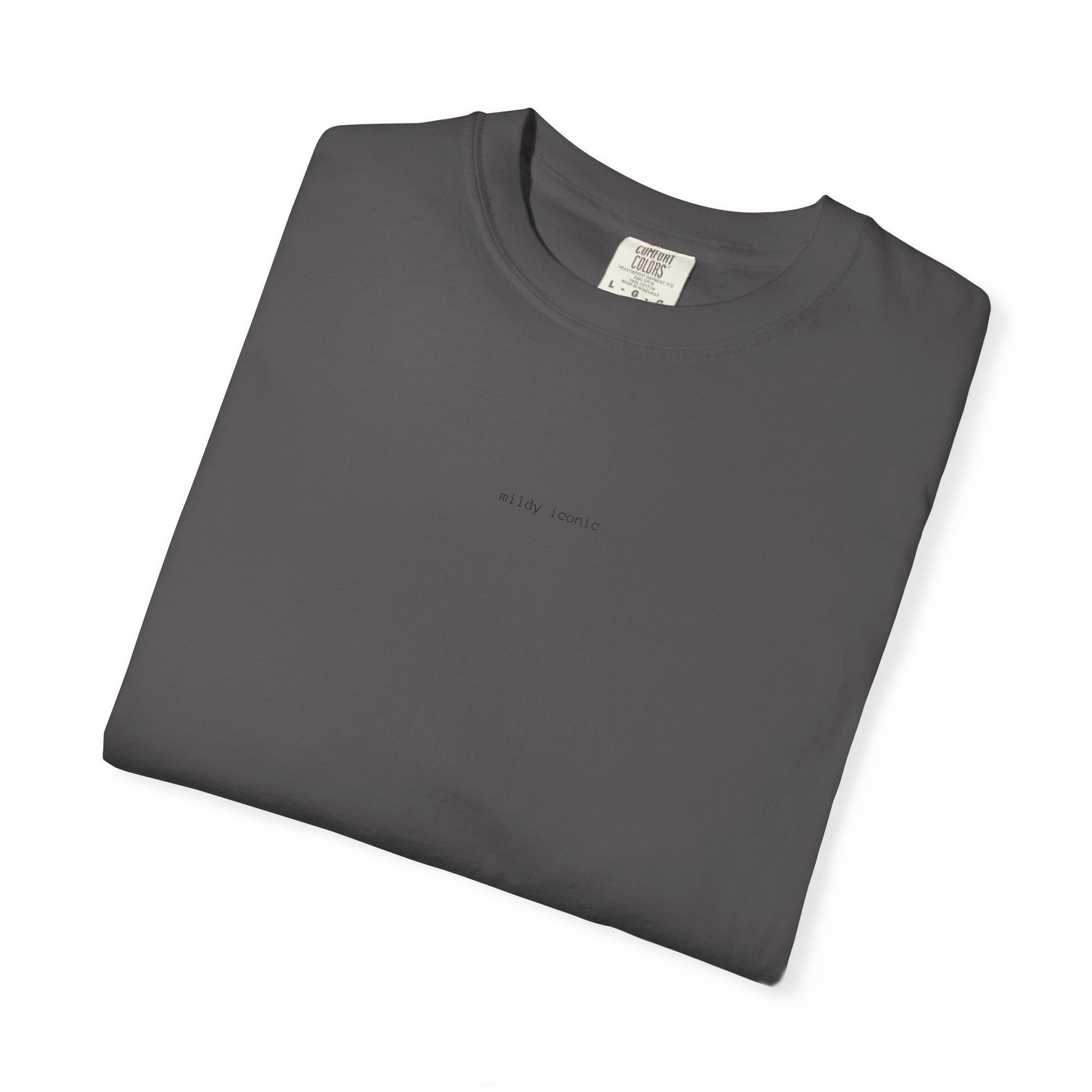 mildly iconic t-shirt